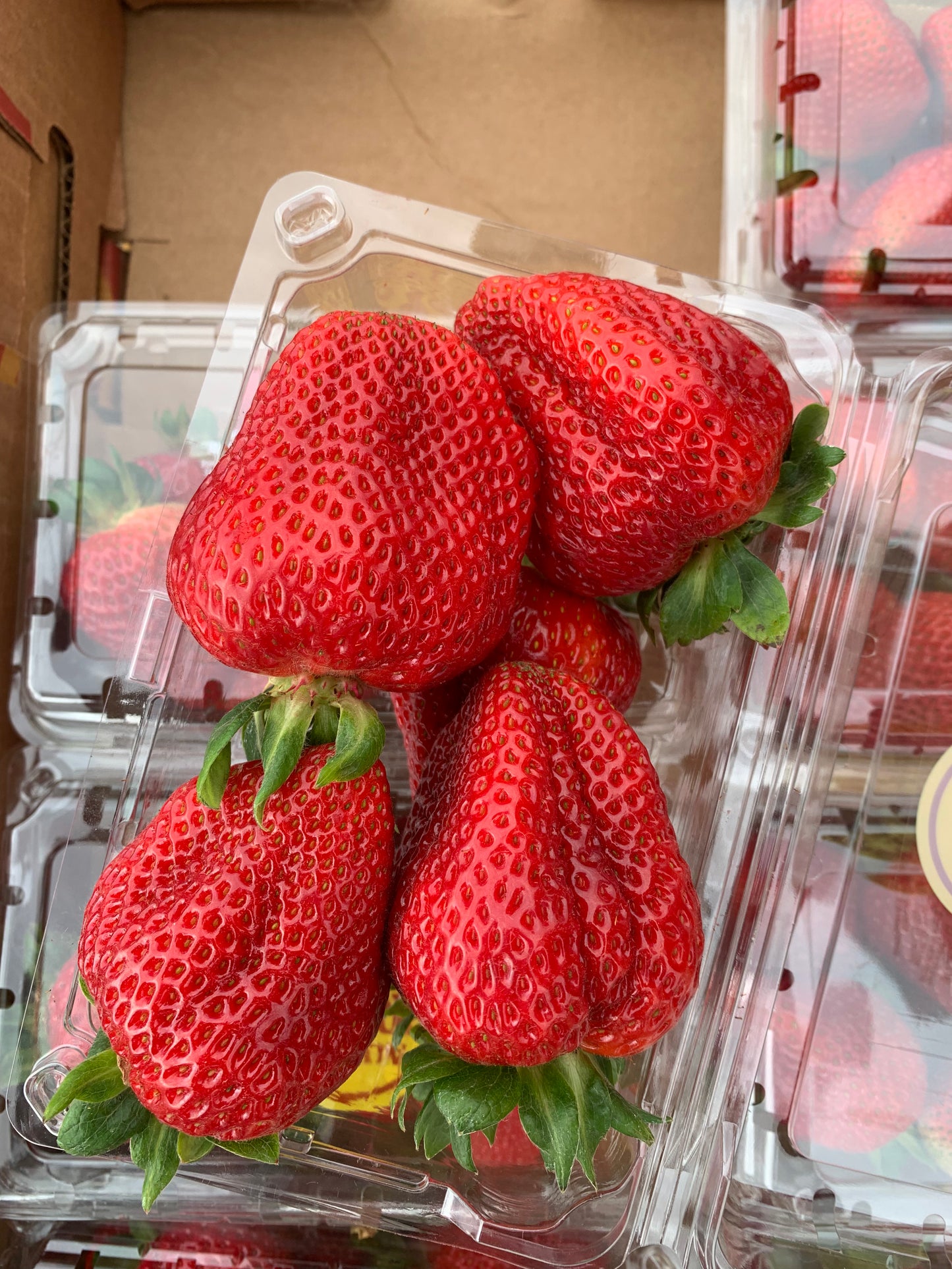 strawberries